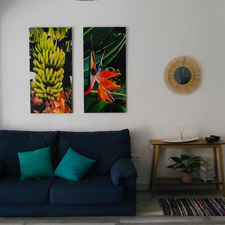 Macaronesia Home Σάντα Κρουζ Τενερίφης Εξωτερικό φωτογραφία