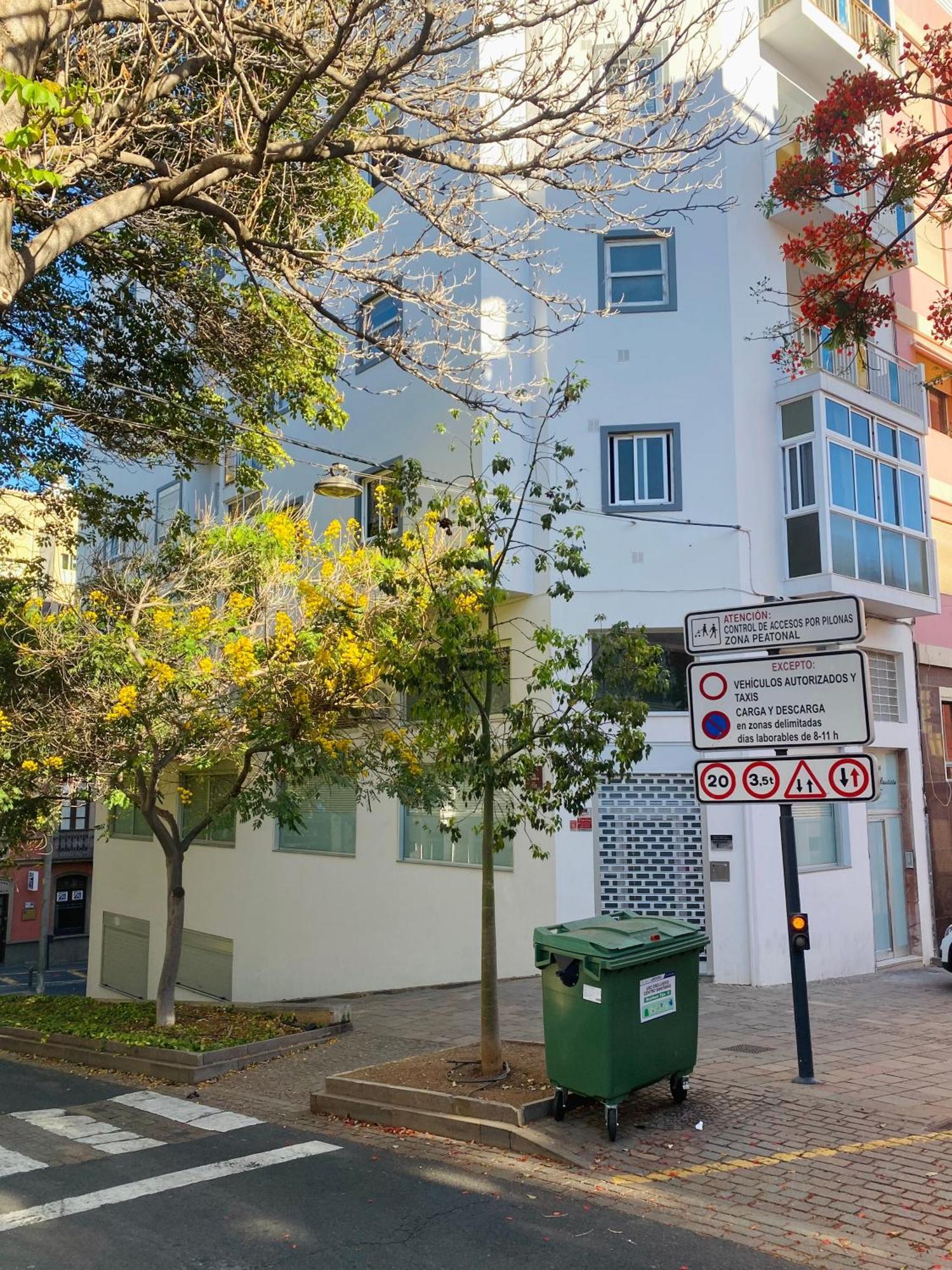Macaronesia Home Σάντα Κρουζ Τενερίφης Εξωτερικό φωτογραφία